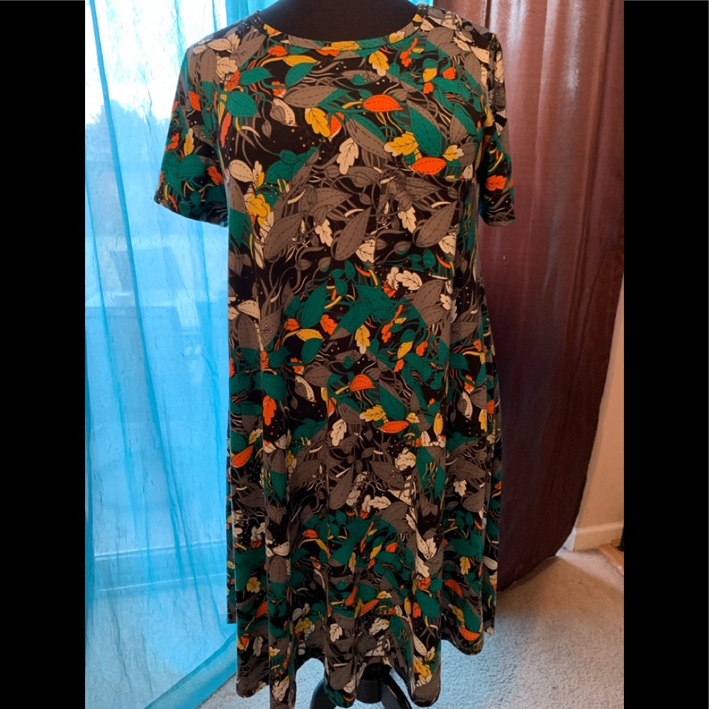 LulaRoe Carly Dress